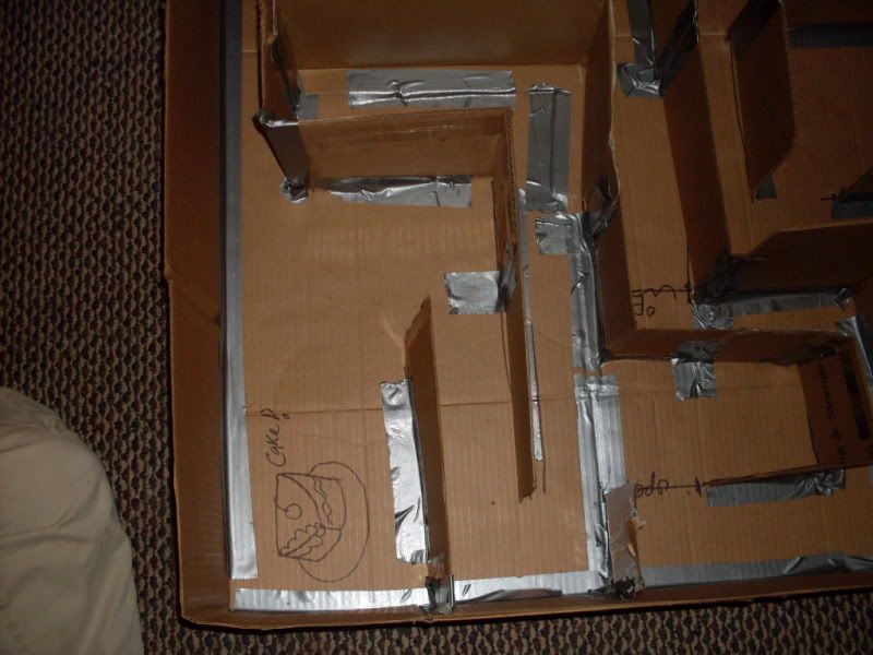 Cardboard Rat Maze (or any small critter) lotsa pics MISCELLANEOUS TOPICS